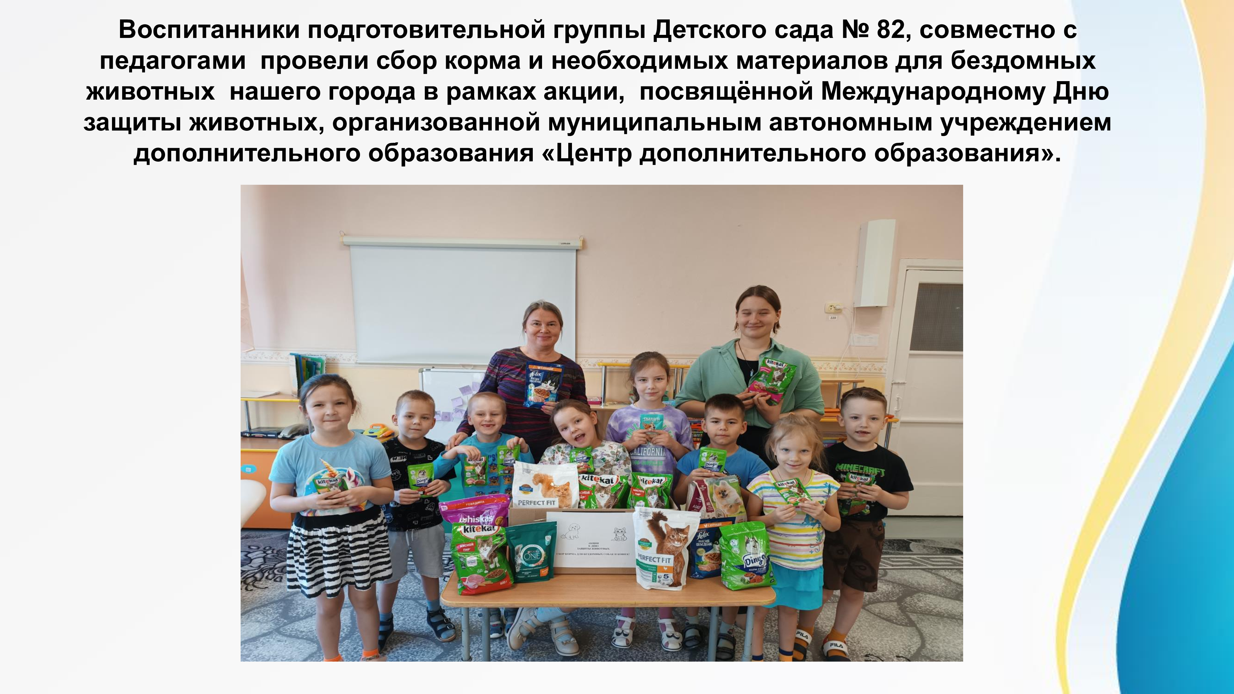 Акция по сбору корма для бездомных животных